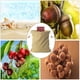 thumbnail image 5 of Bolsa de forrajeo Bolsa de forrajeo de lona, ​​Bolsa de lona de cuero, Camping, Senderismo, Recolección de frutas, Forrajeo de setas, Cuero multifunción, 5 of 5
