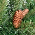 thumbnail image 4 of Northlight Dakota Red Pine with Pine Cones Artificial Christmas Garland - 9' x 16" - Unlit, 4 of 5