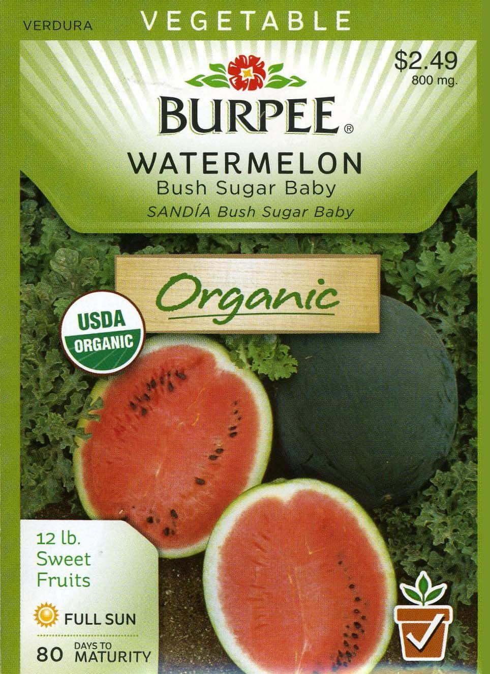 Watermelon Bush Sugar Baby 67526 (Red) 25 Organic Seeds, By Burpee