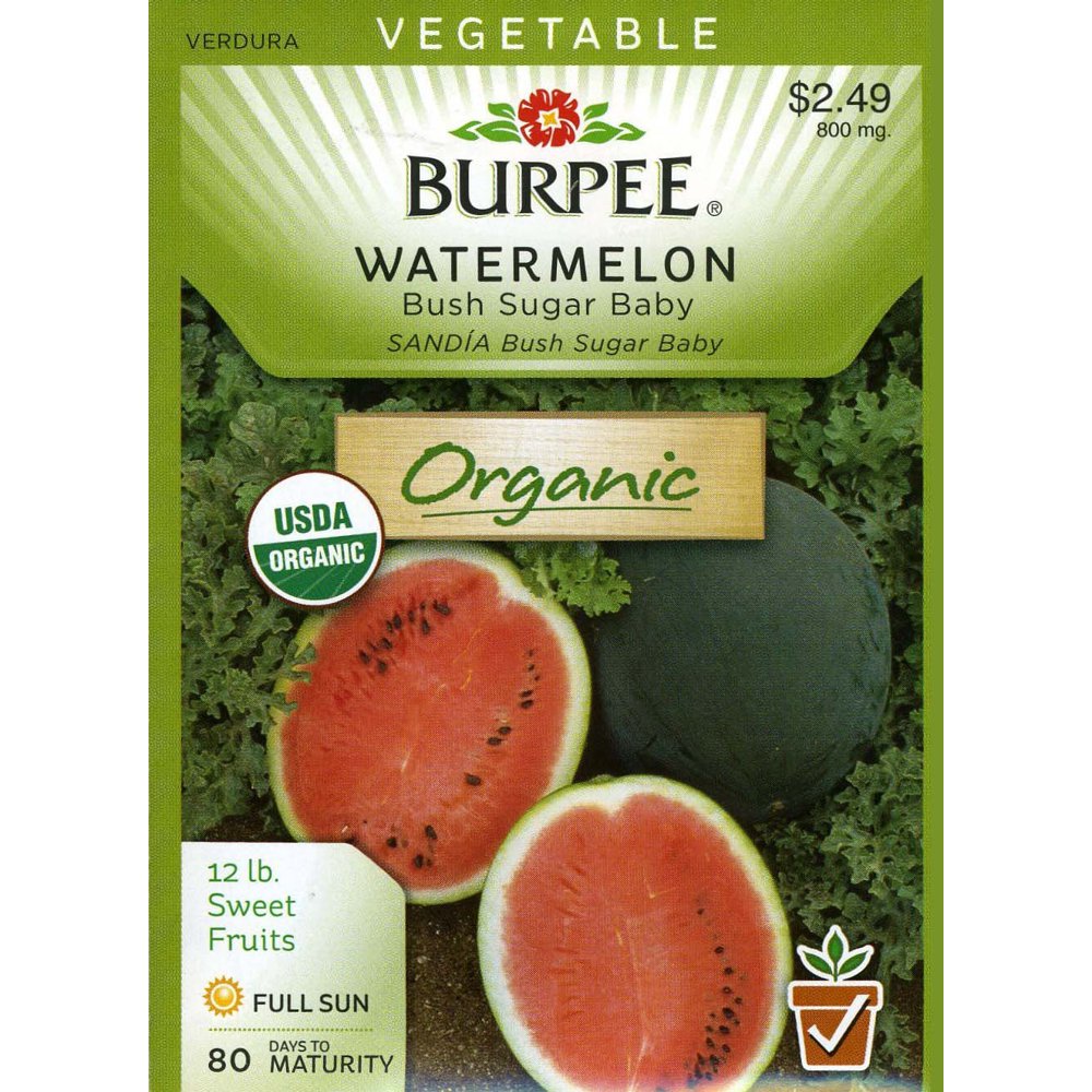 Watermelon Bush Sugar Baby 67526 (Red) 25 Organic Seeds