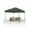 Green, variant on 10x10FT/10x20FT Canopy Tent Pop Up Canopy, Commercial Instant Setup Canopy with 210D Fabric, Heavy Duty Commercial Instant Craft Fair Tent for Farmer Market, Vendor, Party, Event