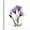 Canvas, variant on Art.com Purple Gentian Square Stretched Canvas Print Wall Art by Albert Koetsier, 30" x 30"