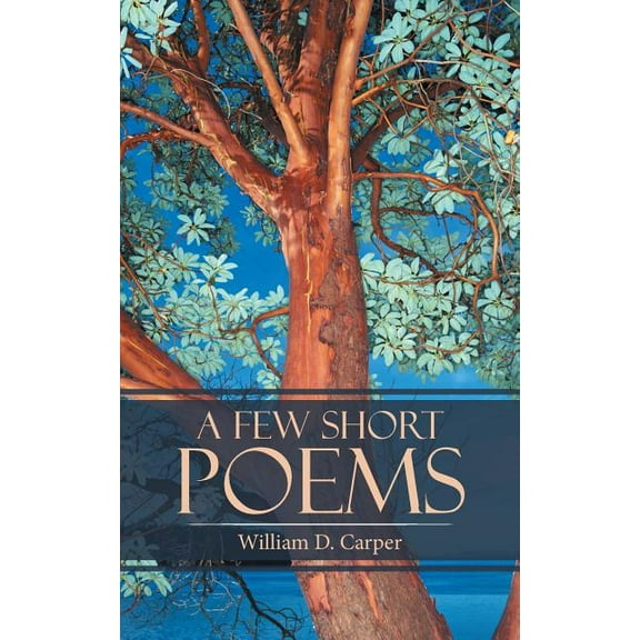 A Few Short Poems (Paperback)