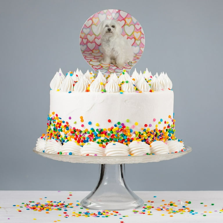 Maltese birthday cake 2025