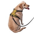 thumbnail image 3 of Gaeub Gold Shiny Gaeub Gold Shiny No Pull Dog Harness, Secure and Adjustable Pet Vest for Outdoor Activities - Large, 3 of 9