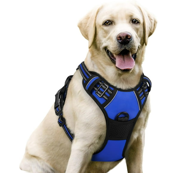 rabbitgoo Harnais pour Chien, Harnais pour Animal Anti-Traction avec 2 Pinces pour Laisse, Harnais Rembourré Doux Ajustable, Harnais Oxford Réfléchissant Anti-Étranglement pour Animal avec Poignée de Contrôle Facile pour Grands Chiens, Bleu Marine, G