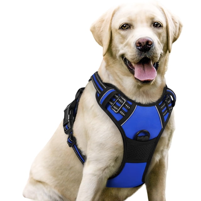 Arnés para perros Rabbitgoo, sin tirón, ajustable para perros grandes