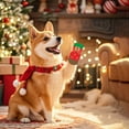thumbnail image 3 of Pet Supplies Socks For Cats And Dogs Holiday With Greeting Card, 3 of 4