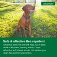 thumbnail image 4 of Advantus Chewable Flea Treatment for Dogs 23 - 110 lbs. | 30 Soft Chews, 4 of 6