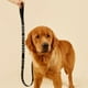 thumbnail image 5 of Correa para perro con mango de neopreno y letras reflectantes de apoyo emocional, 5 of 6