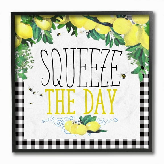 Stupell Industries Squeeze The Day Kitchen Humor Plaid Word Design Graphic Art Black Framed Art Print Wall Art, 12x12, by The Saturday Evening Post
