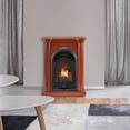 thumbnail image 5 of ProCom Dual Fuel Ventless Gas Fireplace System - 10,000 BTU, T-Stat Control, Apple Spice Finish - Model# FS100T-3AS, 5 of 10