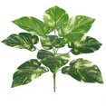 thumbnail image 1 of Planta artificial Hoja Oficina en casa Verdor Decoración Banquete de boda Planta falsa de plástico, Punto blanco, Árbol de hoja perenne kenally HA6782-08B, 1 of 6