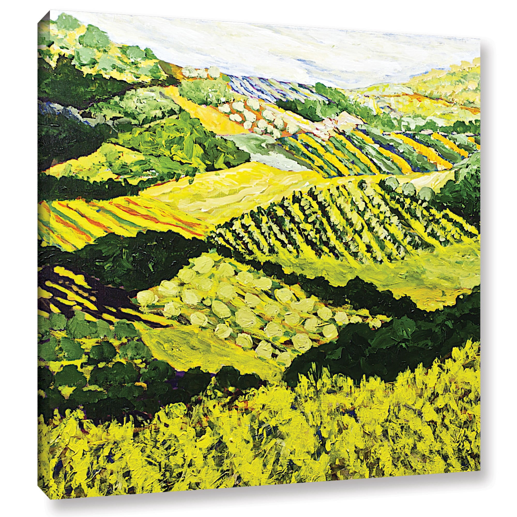 ArtWall Allan Friedlander "Changing World" Gallery-Wrapped Canvas