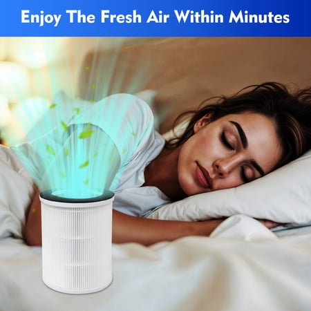 HOME TIMES 2 PACK H13 HEPA REPLACEMENT FILTERS, COMPATIBLE WITH AIRFIRE AP206 & KJ100 AIR PURIFIER, DESIGNED FOR PETS & KIDS, PET FUR & HOME ODOR REMOVAL