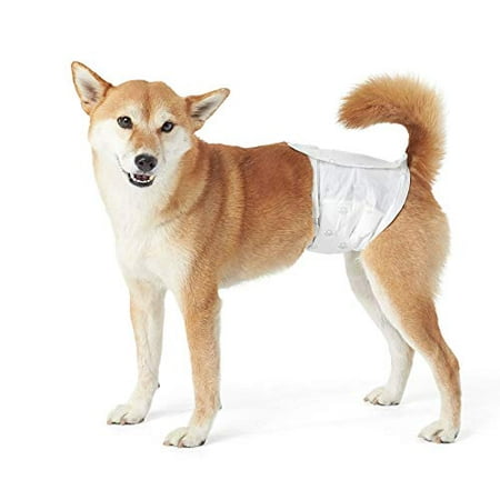 Basics Male Dog Wrap  Disposable Diapers  X-Small (8-12  Waist) - Pack of 30