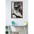 thumbnail image 2 of DC Comics Movie - The Dark Knight Rises - Catwoman - Social Climber Wall Poster, 22.375" x 34", Framed, 2 of 2