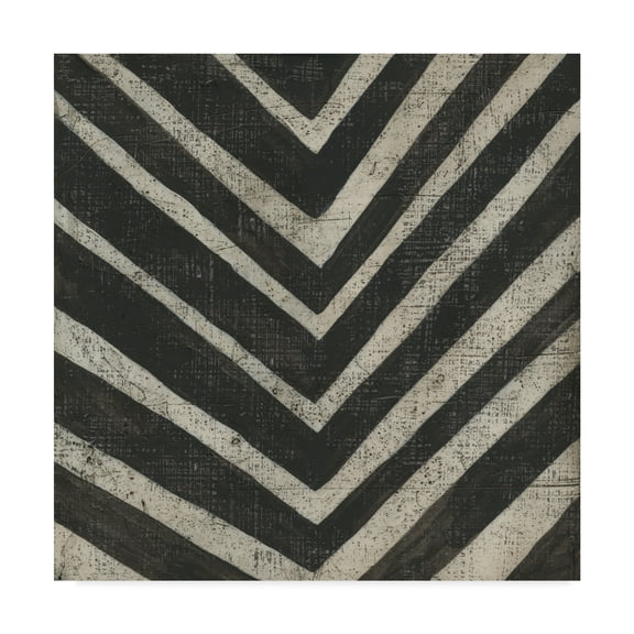 Trademark Fine Art 'Stone IX' Canvas Art by Chariklia Zarris