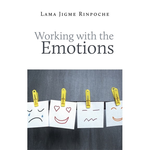 Working With the Emotions (Paperback)