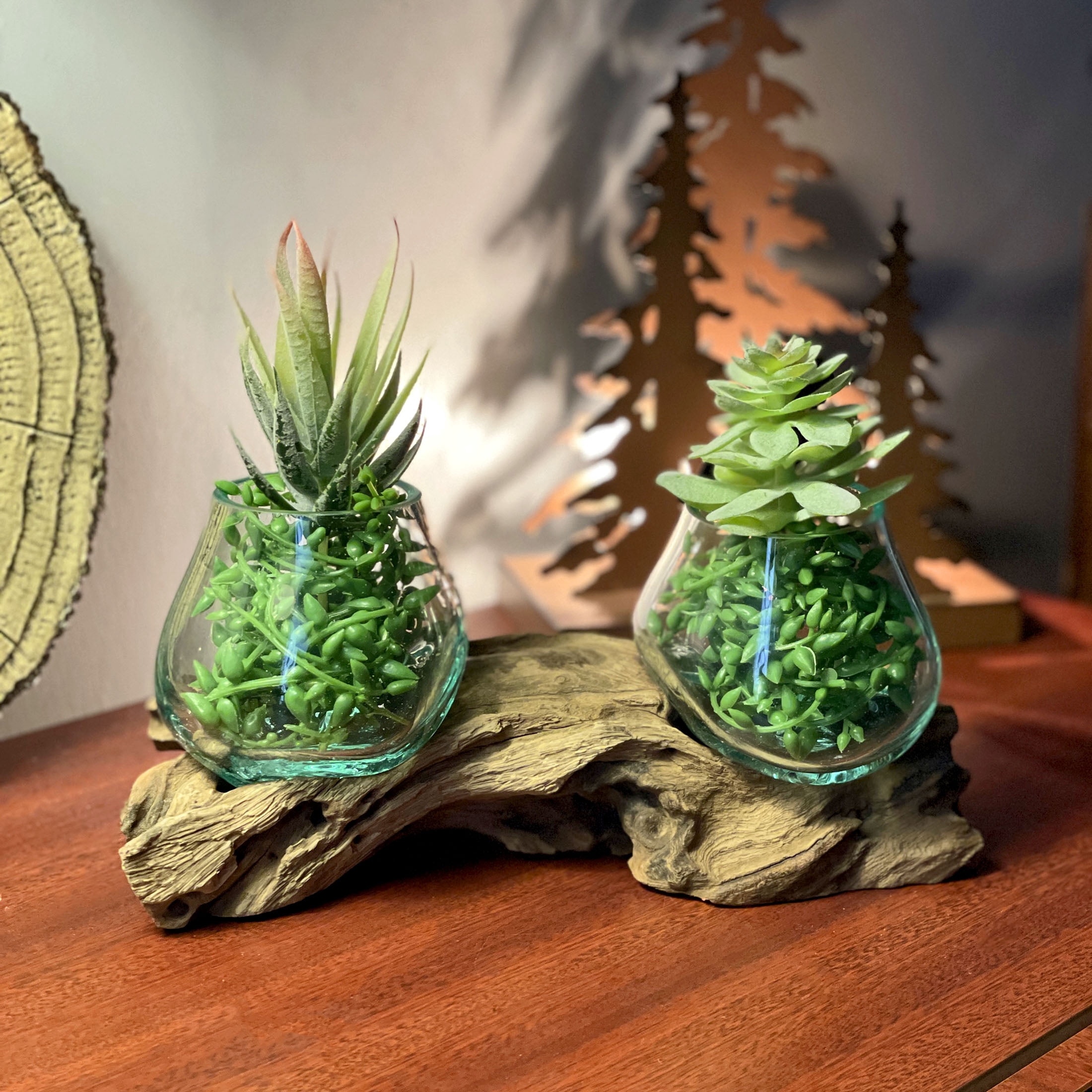 Things2Die4 10.5" Double Molten Glass Bowls on Driftwood Hand Blown Planter Terrarium Decor - Natural - Size 10.5 inch Double Bowl