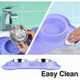 thumbnail image 3 of Dog Bowls 2 Stainless Steel Bowl for Pet Water and Food Feeder with Non Spill Skid Resistant Silicone Mat for Pets Puppy Small Medium Cats Dogs, 3 of 6