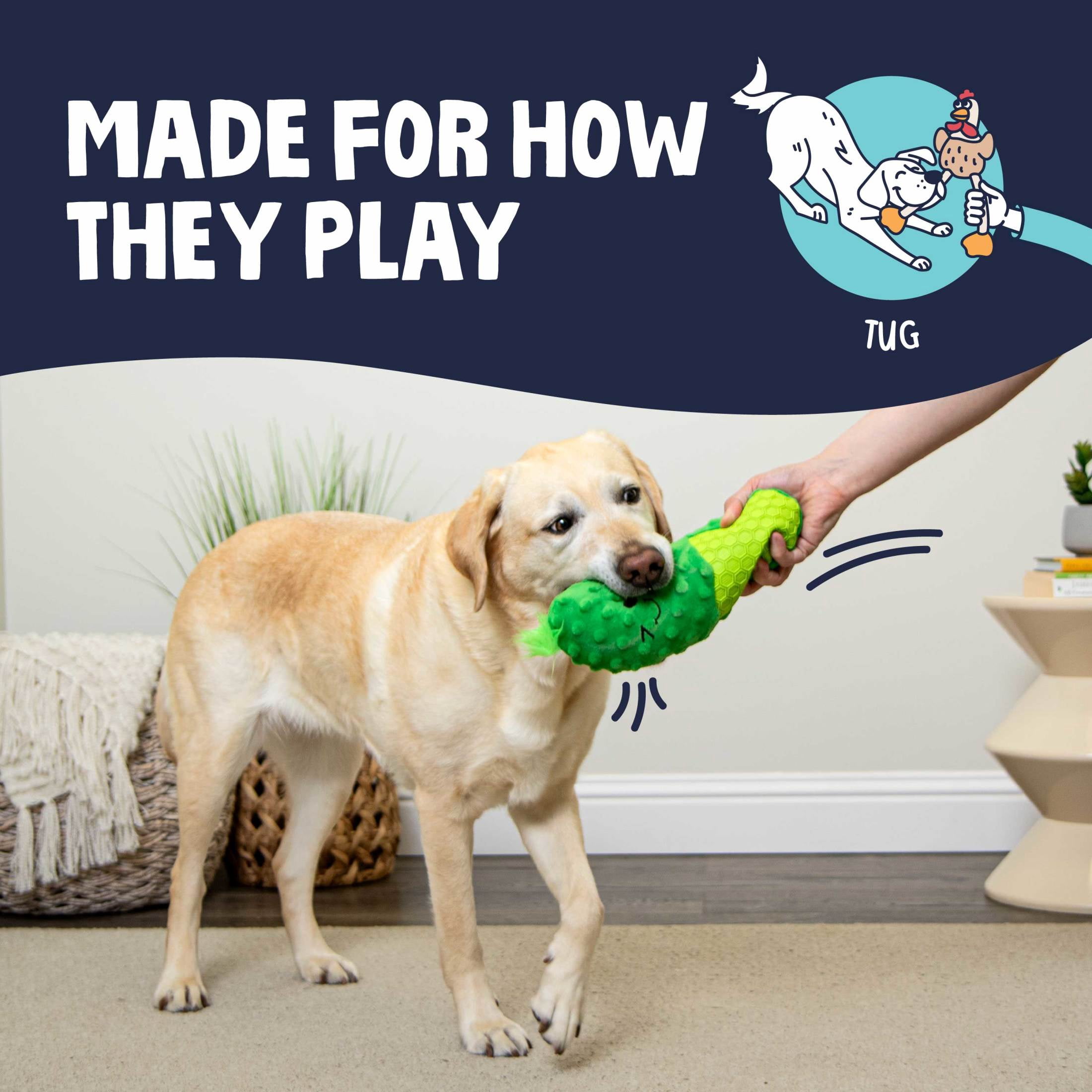 goDog Tough N Texture Dillbert Pickle Plush & Textured Silicone Squeaky Dog Toy with Chew Guard Technology, Durable Fabric & Squeaker for Active Play, Green, Medium