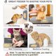 thumbnail image 2 of 2 Pack Lick Mat Slow for Feeder Bath Grooming and Training, 2 of 5