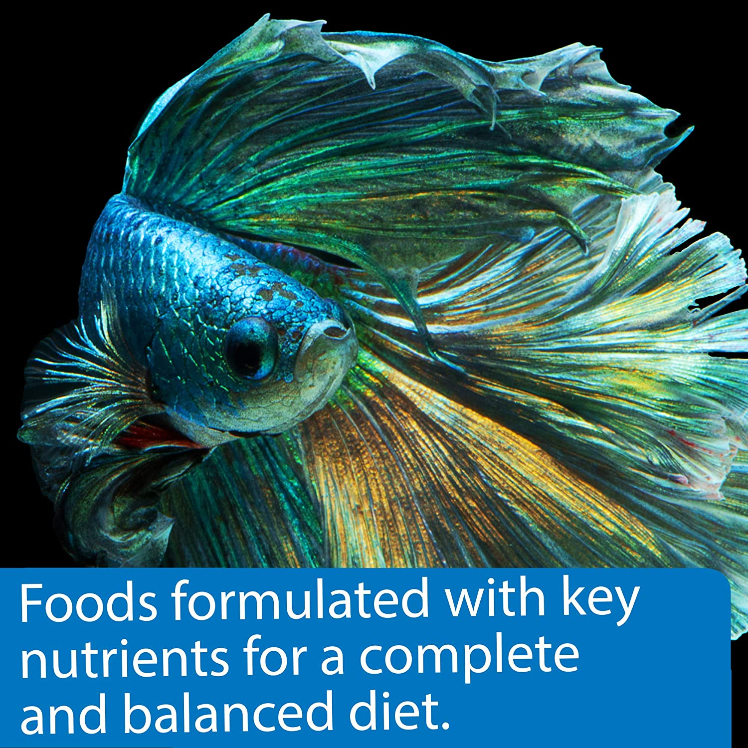 API Betta Flakes Fish Food with Optimal Protein for Healthy Growth [Aquarium Betta Food, Aquarium Supplies] 2.16 oz (6 x 0.36 oz)