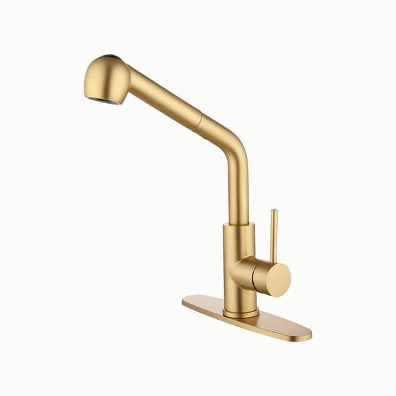 Utility Sink Faucets Single-Handle Pull-Out Laundry Faucet with Dual Spray Function in Stainless Spot Resistant Gold