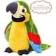 thumbnail image 1 of Juguete eléctrico de loro - Juguete parlante - Peluche - Con función de grabación y reproducción - Peluche para niños y niñas (verde), 1 of 5