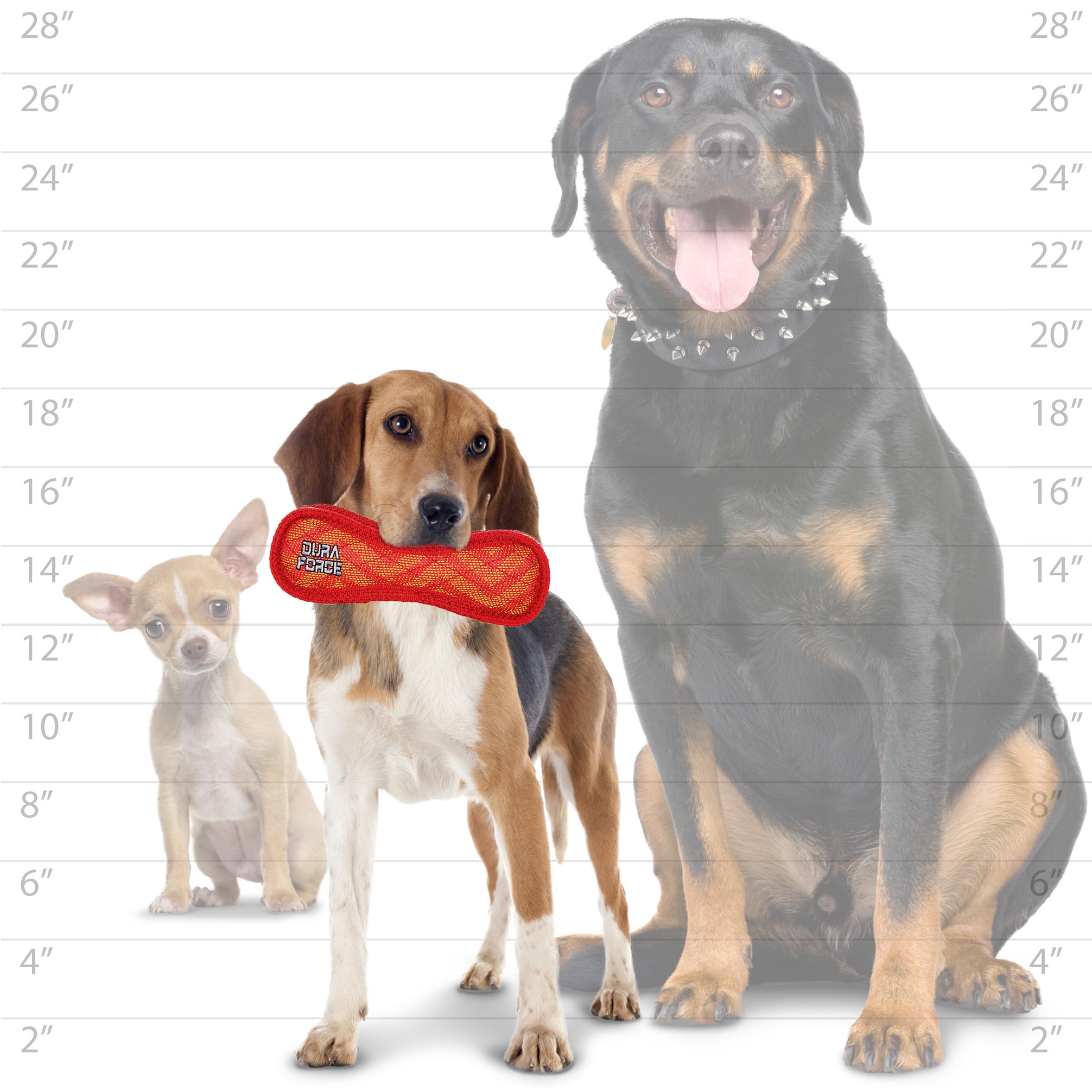 DuraForce Jr Bone ZigZag Red-Red, 2-Pack, Durable Woven Mesh Fiber Squeaky Dog Toy