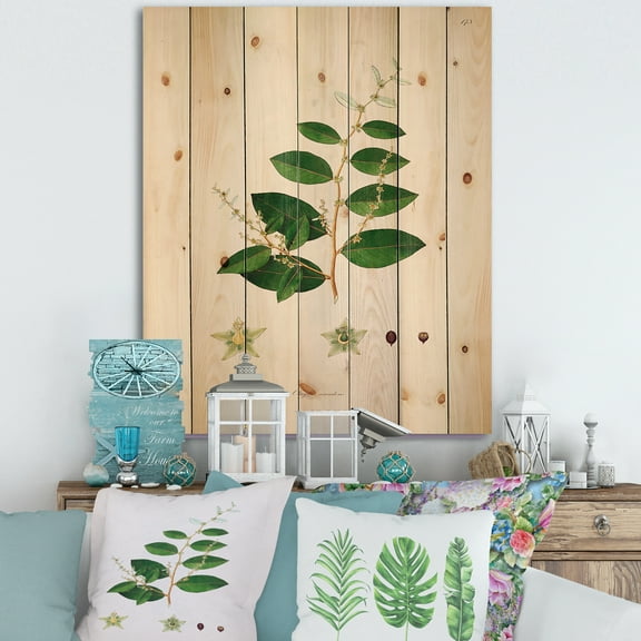 Designart 'Ancient Plant Life XVI' Farmhouse Print on Natural Pine Wood