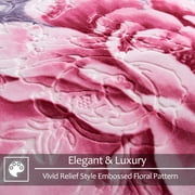 JML Queen Fleece Bed Blanket for Winter,520GSM Polyester Soft Fleece Blanket,77x87