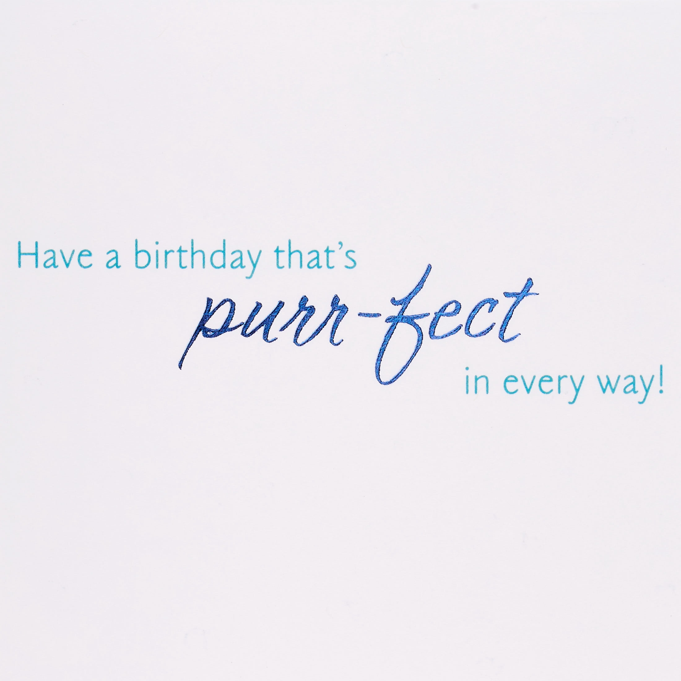 American Greetings Birthday Card for Anyone (Purr-fect)