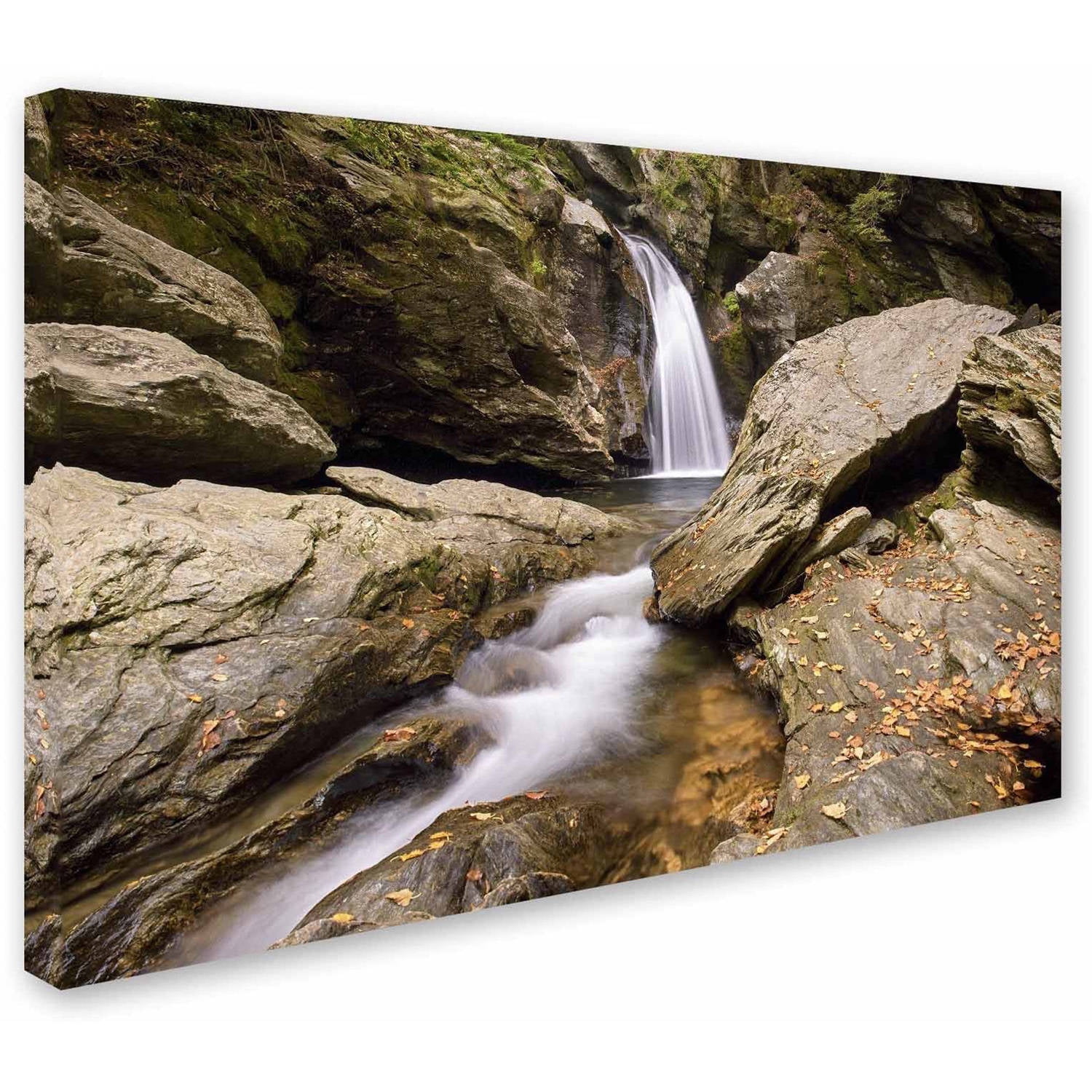 Trademark Fine Art 'Over and Under' Canvas Art by Michael Blanchette Photography