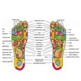 thumbnail image 5 of Acupressure Slimming Insoles Foot Massager Magnetic Therapy Weight Loss Massage Insole XR-Hot, 5 of 5