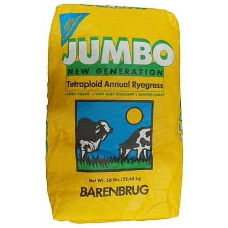 Jumbo Tetraploid Annual Ryegrass - 50 Lbs.