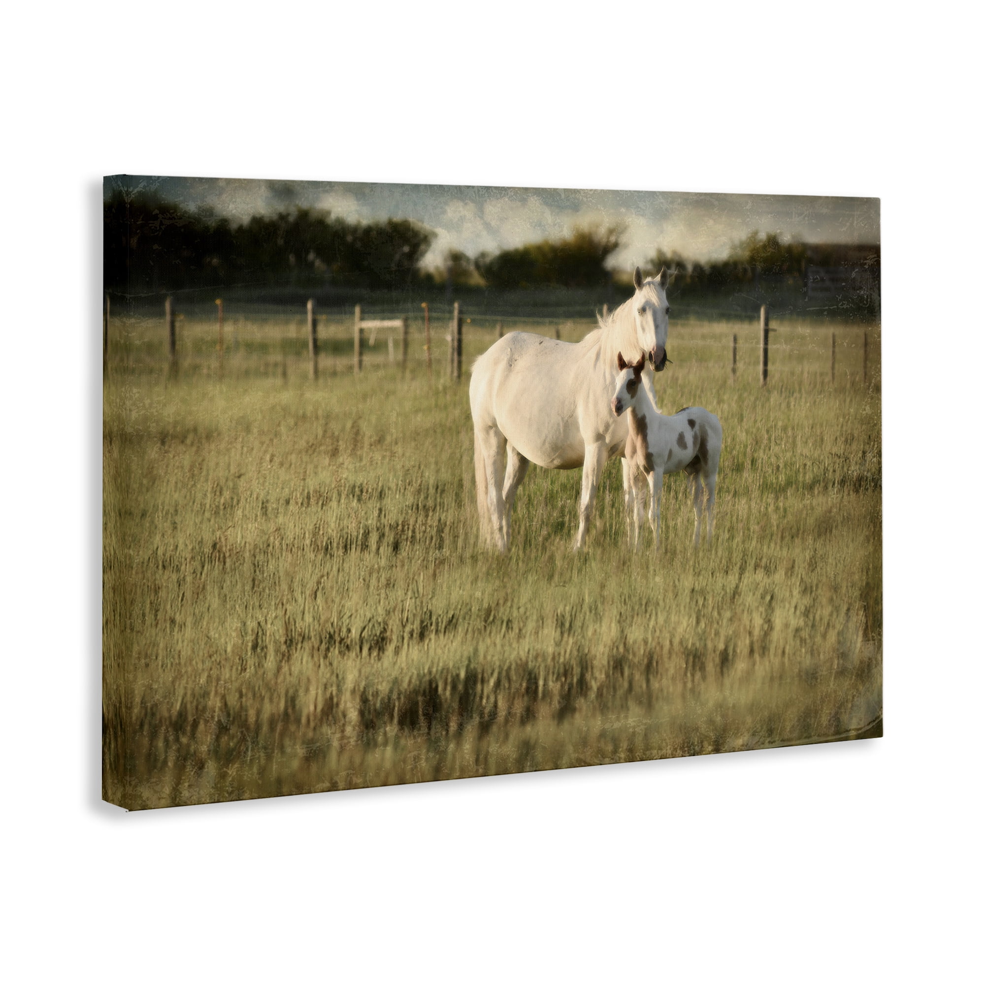 Stupell Industries Rural Horse and Foal Landscape Photography Gallery Wrapped Canvas Art Print Wall Art, 36 x 24