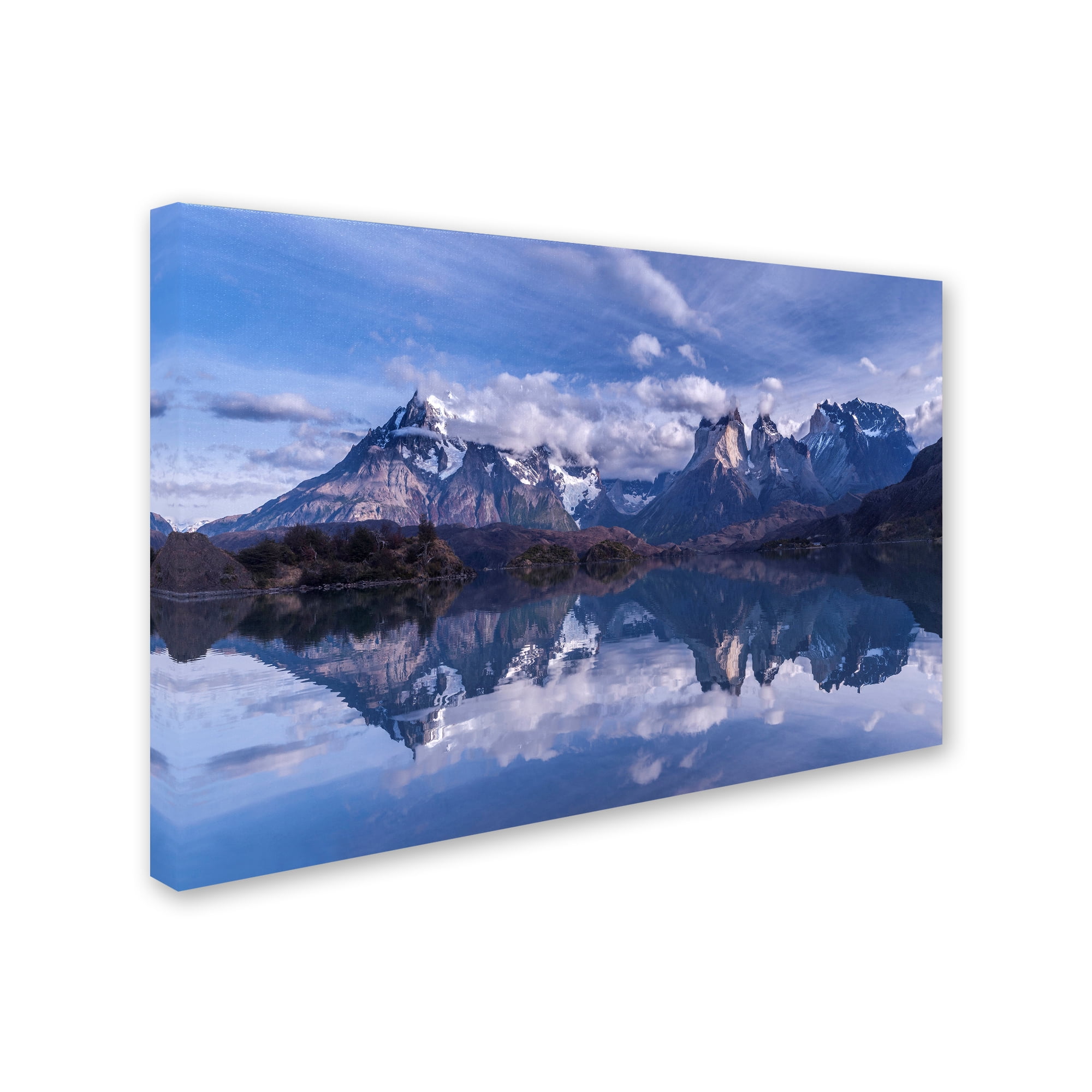 Trademark Fine Art 'Torres Del Paine' Canvas Art by Vladimir Driga