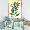 thumbnail image 3 of Designart 'Ancient American Flora V' Traditional Framed Art Print, 3 of 4
