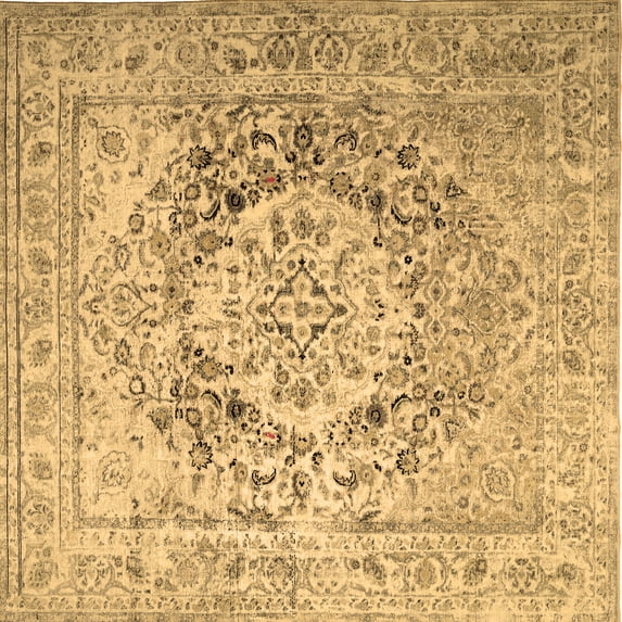 Ahgly Company Indoor Square Medallion Brown Traditional Area Rugs, 5' Square