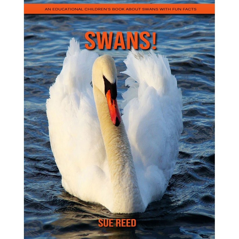 Swans! An Educational Children's Book about Swans with Fun Facts (Paperback)