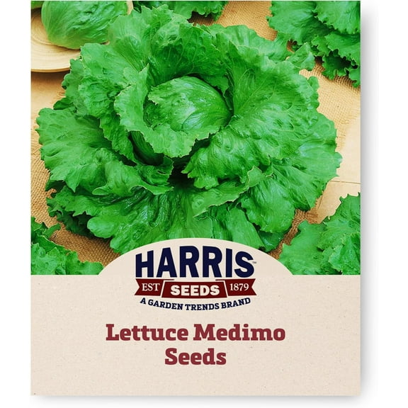 Harris Seeds - Lettuce Medimo Seeds Crisp And Sweet Variety Green - 250 Seeds