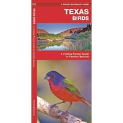 Pocket Naturalist Guides: Texas Birds: A Folding Pocket Guide to Familiar Species (Other)