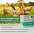 thumbnail image 6 of HARTOMPET Premium Dried Black Soldier Fly Larvae for Chickens 2LBS-Molting & Laying Hens Supplement, 6 of 9