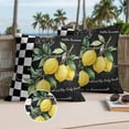 thumbnail image 2 of Hello Summer Lemons Outdoor Pillow Covers Pack of 2 Farmhouses Fruits Black White Checkered Waterproof Throw Pillow Covers Decorative Cushion Cases for Patio Garden Tent Balcony Couch 16x16 inch, 2 of 9