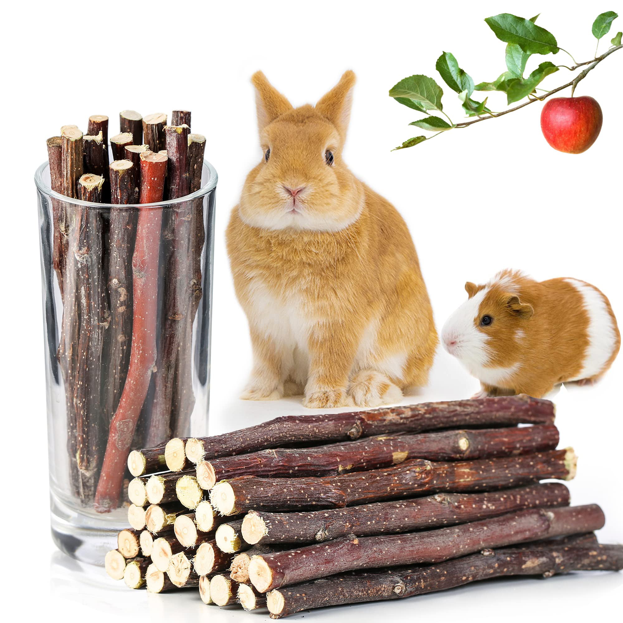 100g Wood Branch Chew Sticks Small Pet Snack Twigs for Hamster Rabbit Hot Sale 
