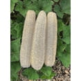 thumbnail image 1 of Esponjas de lufa de baño naturales, esponjas de ducha de Luffa orgánicas grandes, exfoliante para la piel, la espalda y el cuerpo, para el cuidado personal diario (paquete de 3), 1 of 5