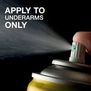 Arrid XX Extra Dry Aerosol Antiperspirant Deodorant, Regular, 6 oz