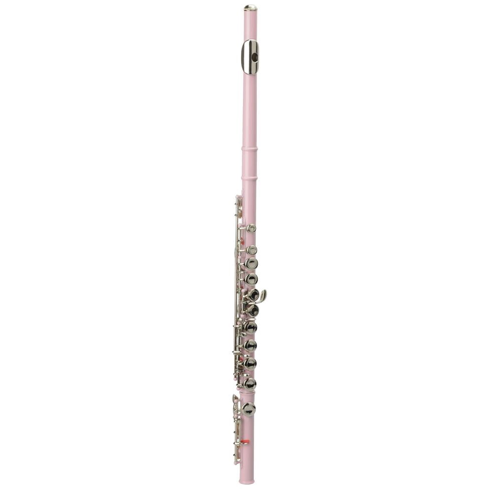 Ktaxon 16 Hole C Flute for Student Beginner School Band with Case 9 Colors